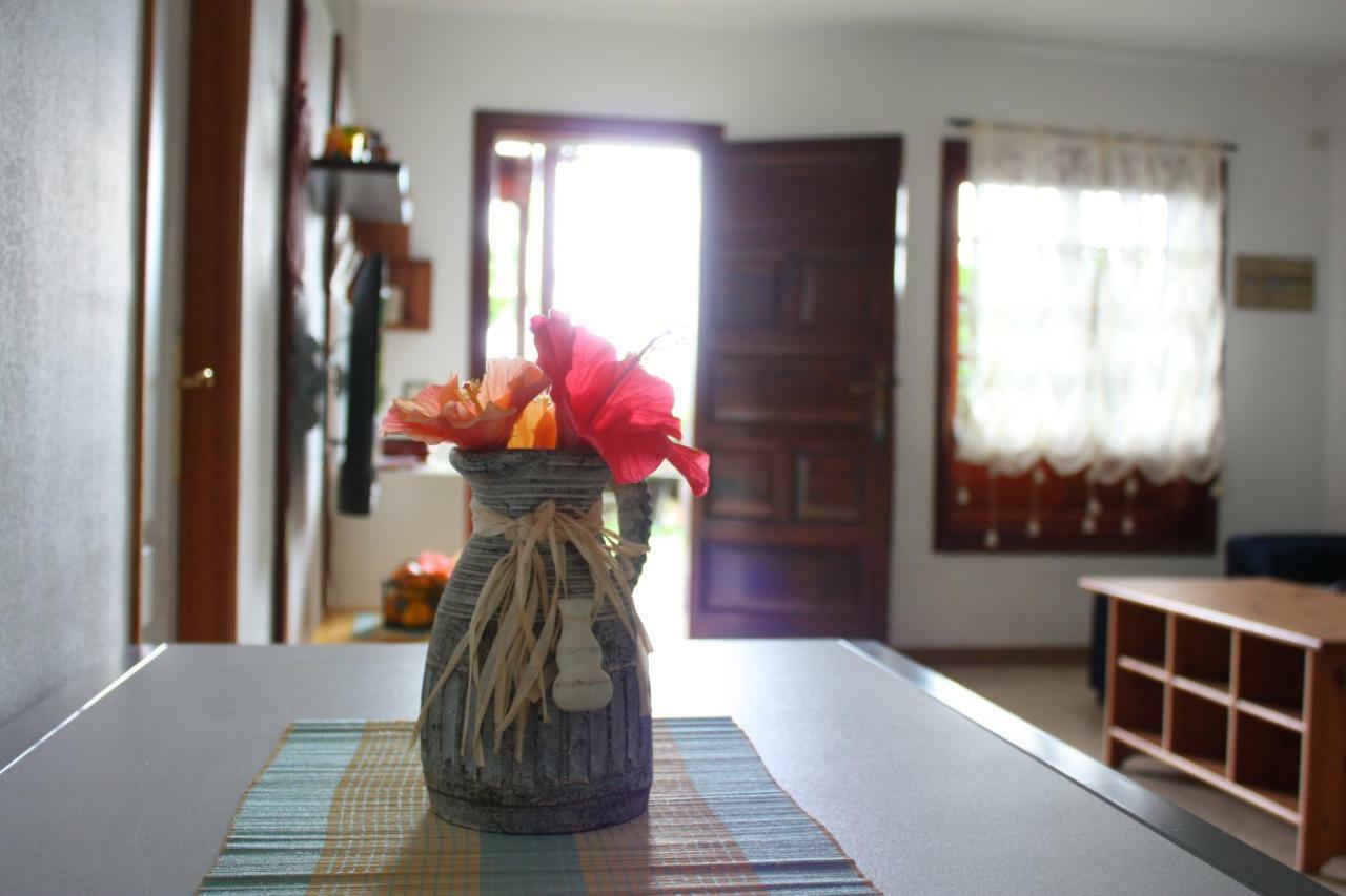 Apartamentos Con Jardin Y Pescina Puerto de la Cruz  Dış mekan fotoğraf
